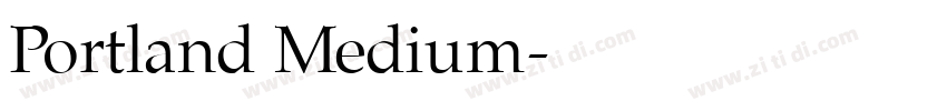 Portland Medium字体转换